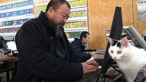 Ai Weiwei and one of his many cats in Ai Weiwei: Never Sorry