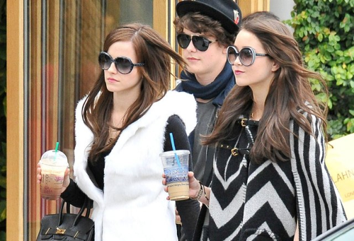 The Bling Ring 2013