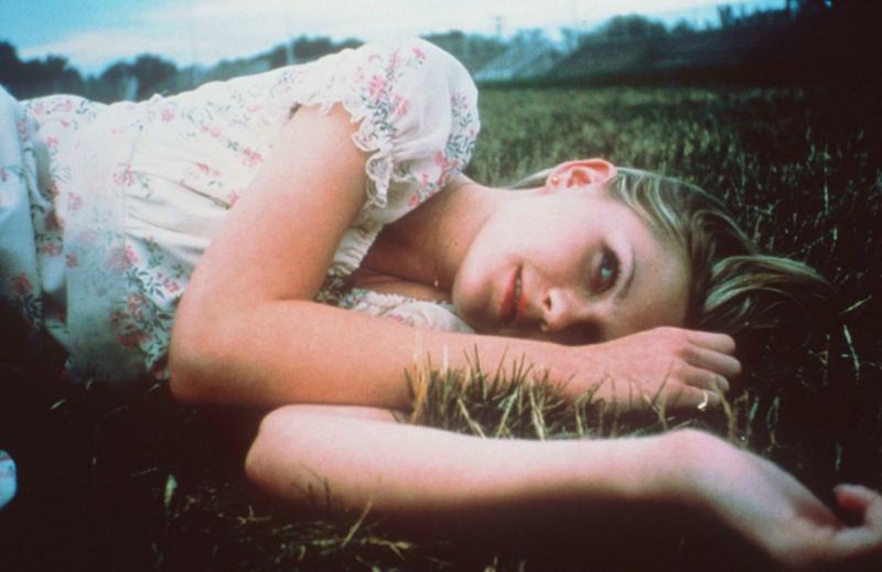 Virgin Suicides