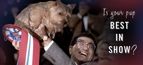 Best in Show