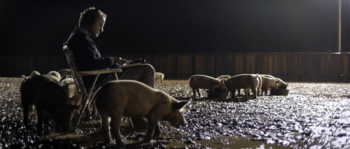 Upstream Color Still Photo Pigs at Night